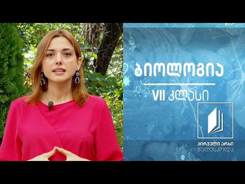 ბიოლოგია,VII კლასი - ეუკარიოტული მიკროორგანიზმები; ერთუჯრედიანი სოკოები და წყალმცენარეები #ტელესკოლა